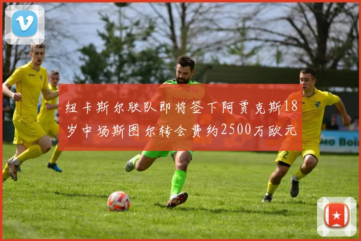 纽卡斯尔联队即将签下阿贾克斯18岁中场斯图尔转会费约2500万欧元