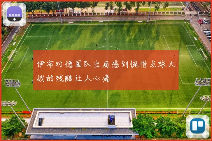 伊布对德国队出局感到惋惜点球大战的残酷让人心痛